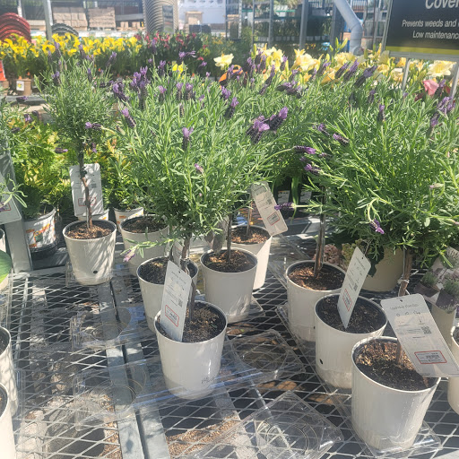 Home Improvement Store «The Home Depot», reviews and photos, 5501 Belleville Crossing, Belleville, IL 62226, USA