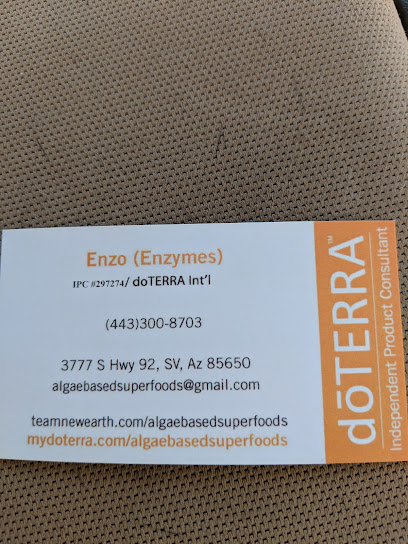 Enzo Enzymes