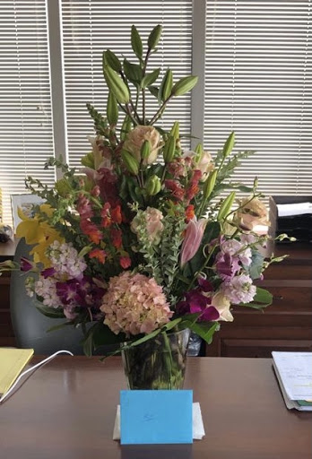 Florist «Alamo Plants & Petals», reviews and photos, 119 W Sunset Rd, San Antonio, TX 78209, USA