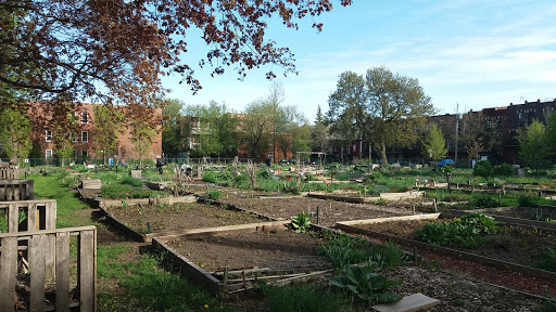 Jardin communautaire De Lorimier