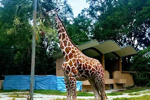 Zoo Negara Carpark image