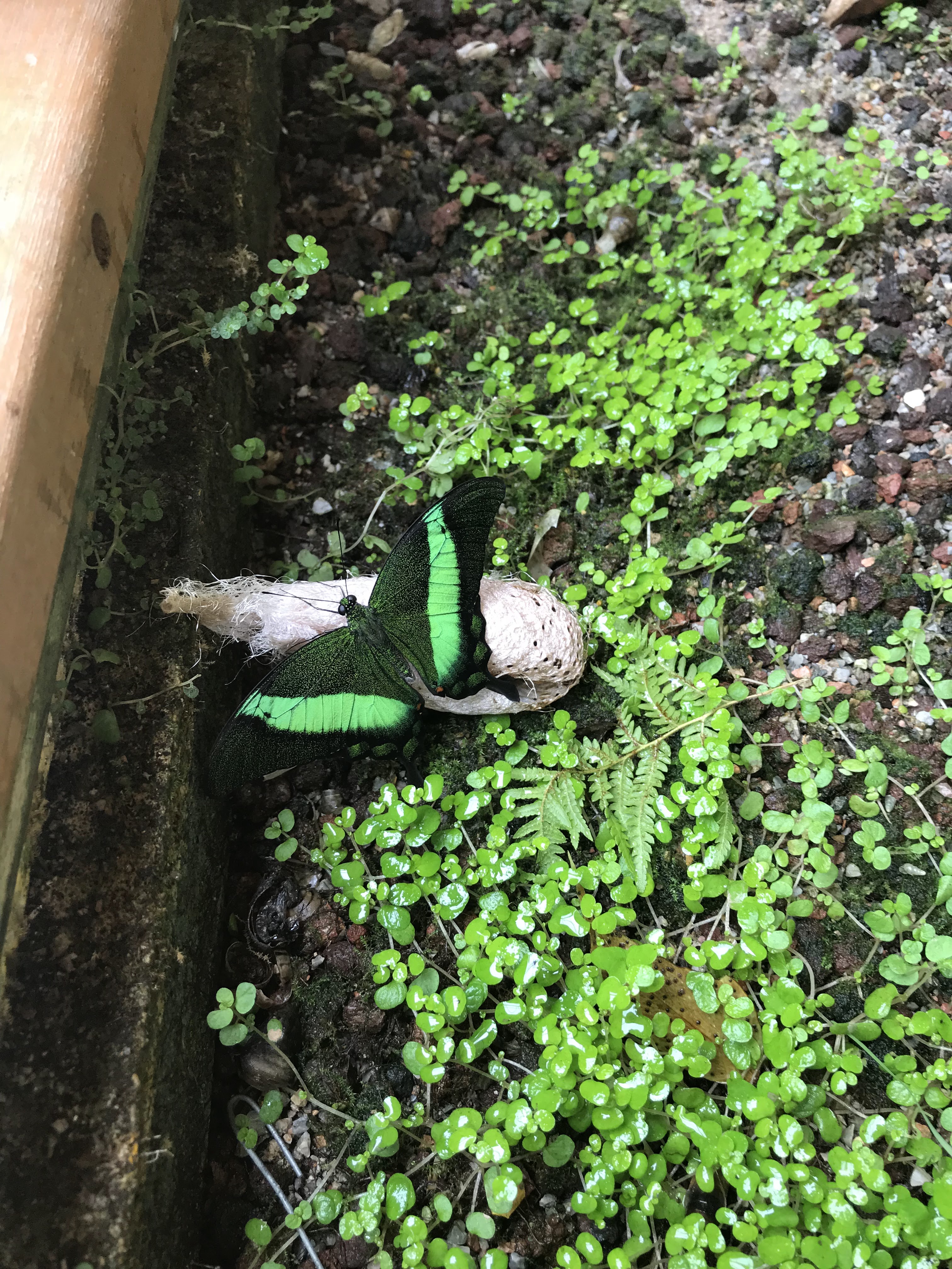 Photo n° 1 de l'avis de Magali. fait le 26/06/2018 à 19:07