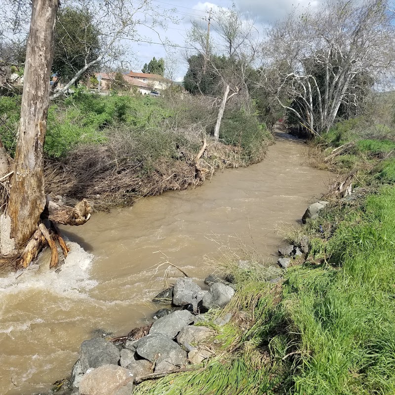 Penitencia Creek Park