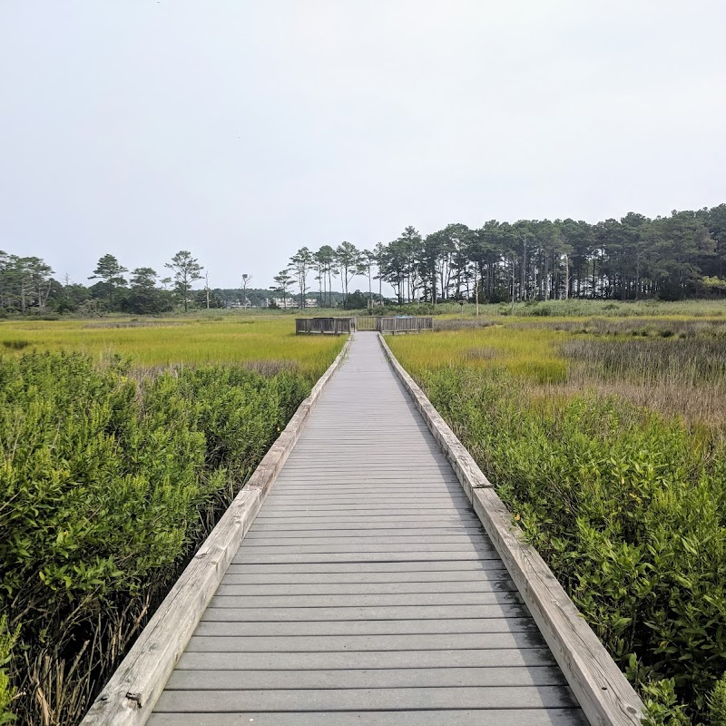 Bethany Beach Nature Center