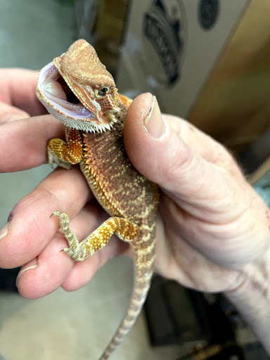 Pet Store «The Pet Works», reviews and photos, 407 4th Ave E, Olympia, WA 98501, USA