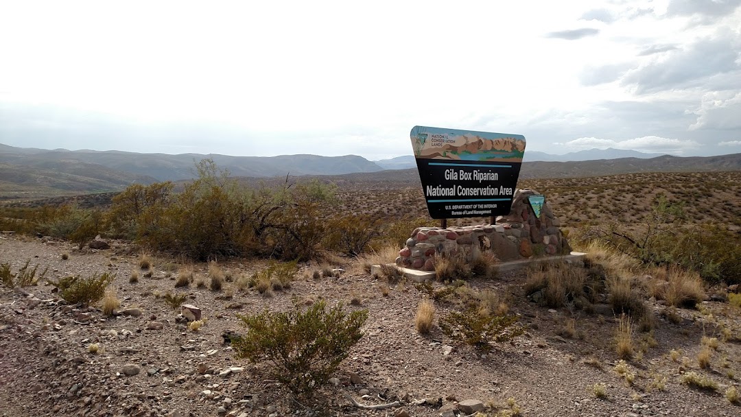 Gila Box Riparian National Conservation Area