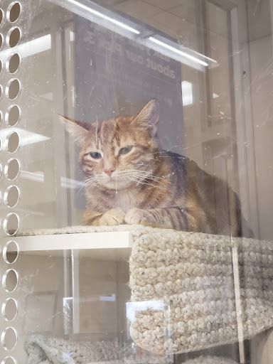 Pet Supply Store «Petco Animal Supplies», reviews and photos, 3870 N 124th St, Wauwatosa, WI 53222, USA