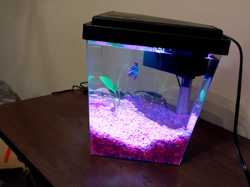 Pet Supply Store «PetSmart», reviews and photos, 15134 Crossroads Pkwy, Gulfport, MS 39503, USA