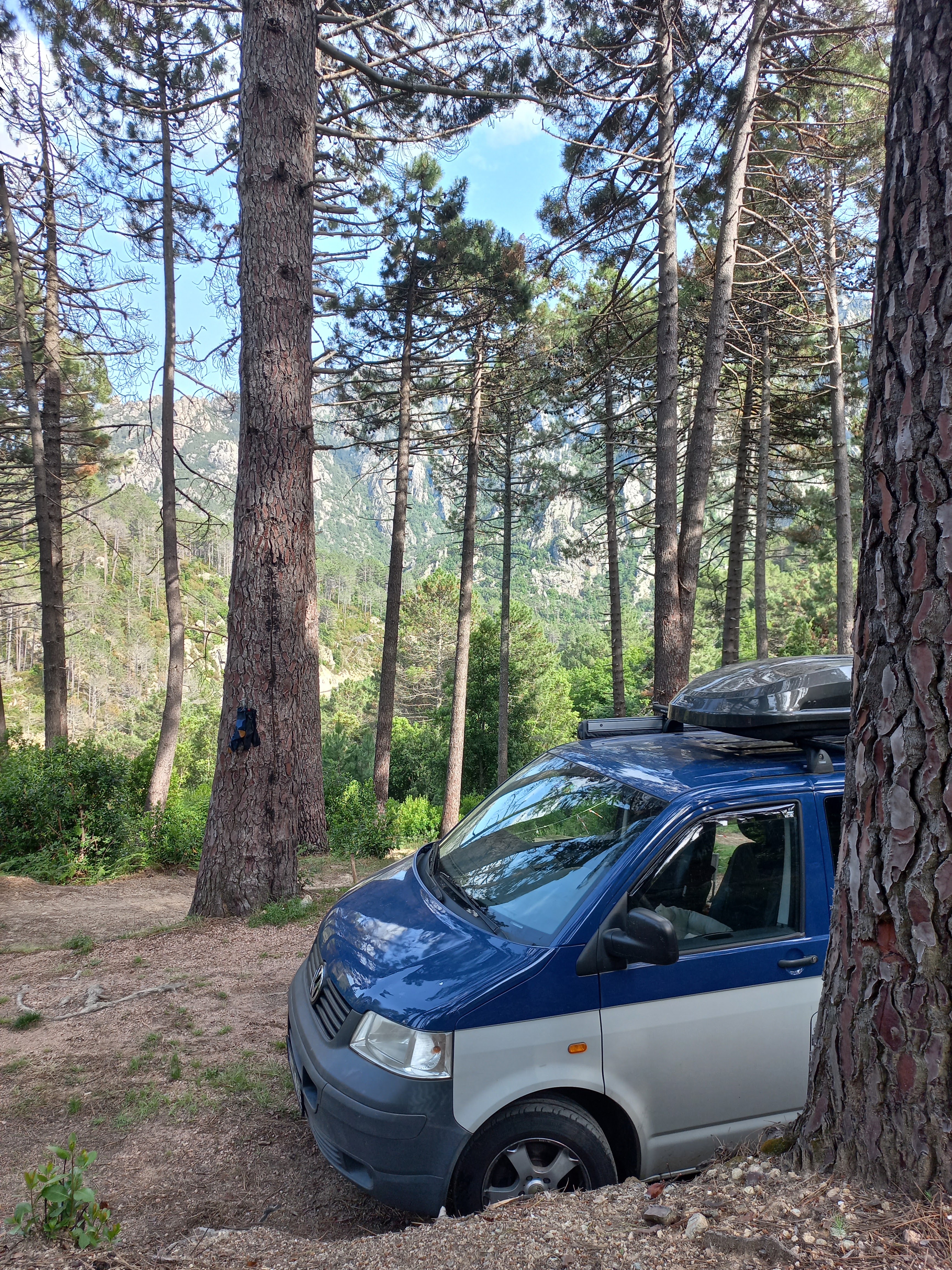 Photo n° 1 de l'avis de Elsa.� fait le 30/06/2023 à 18:20