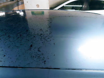 Green Car Wash à Grenoble