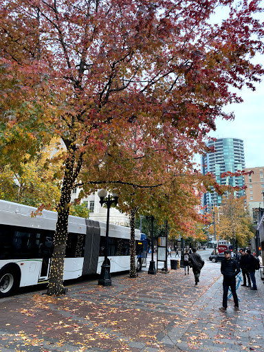 Park «Westlake Park», reviews and photos, 401 Pine St, Seattle, WA 98101, USA