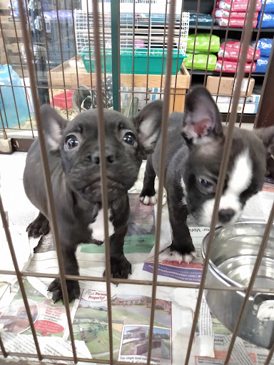 Pet Store «Pets Plus», reviews and photos, 454 TN-46, Dickson, TN 37055, USA