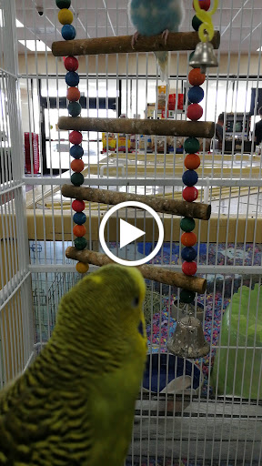 Pet Supply Store «Pet Supermarket», reviews and photos, 2585 N Atlantic Ave, Daytona Beach, FL 32118, USA