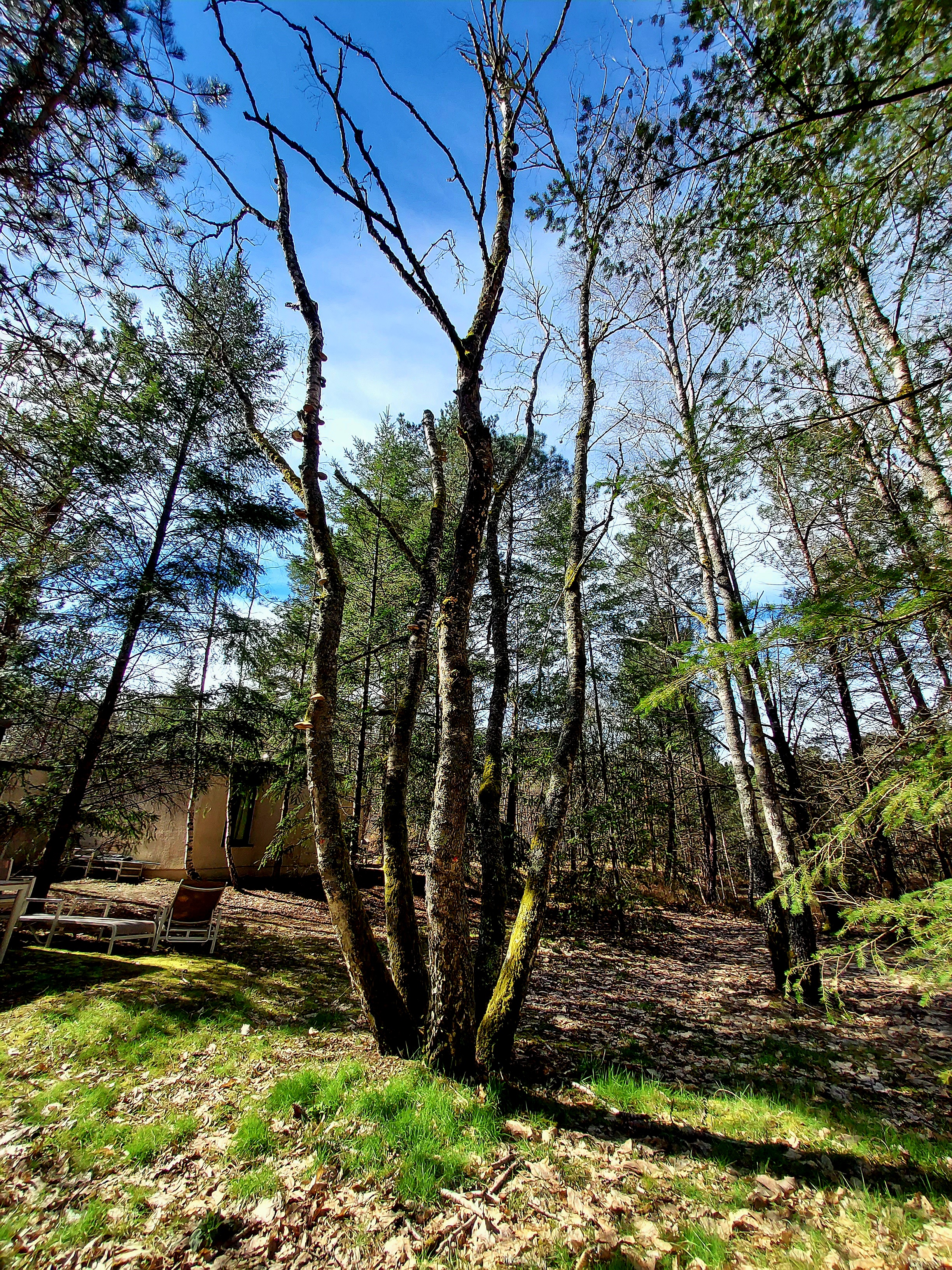 Photo n° 5 de l'avis de breton.a fait le 15/03/2024 à 15:16