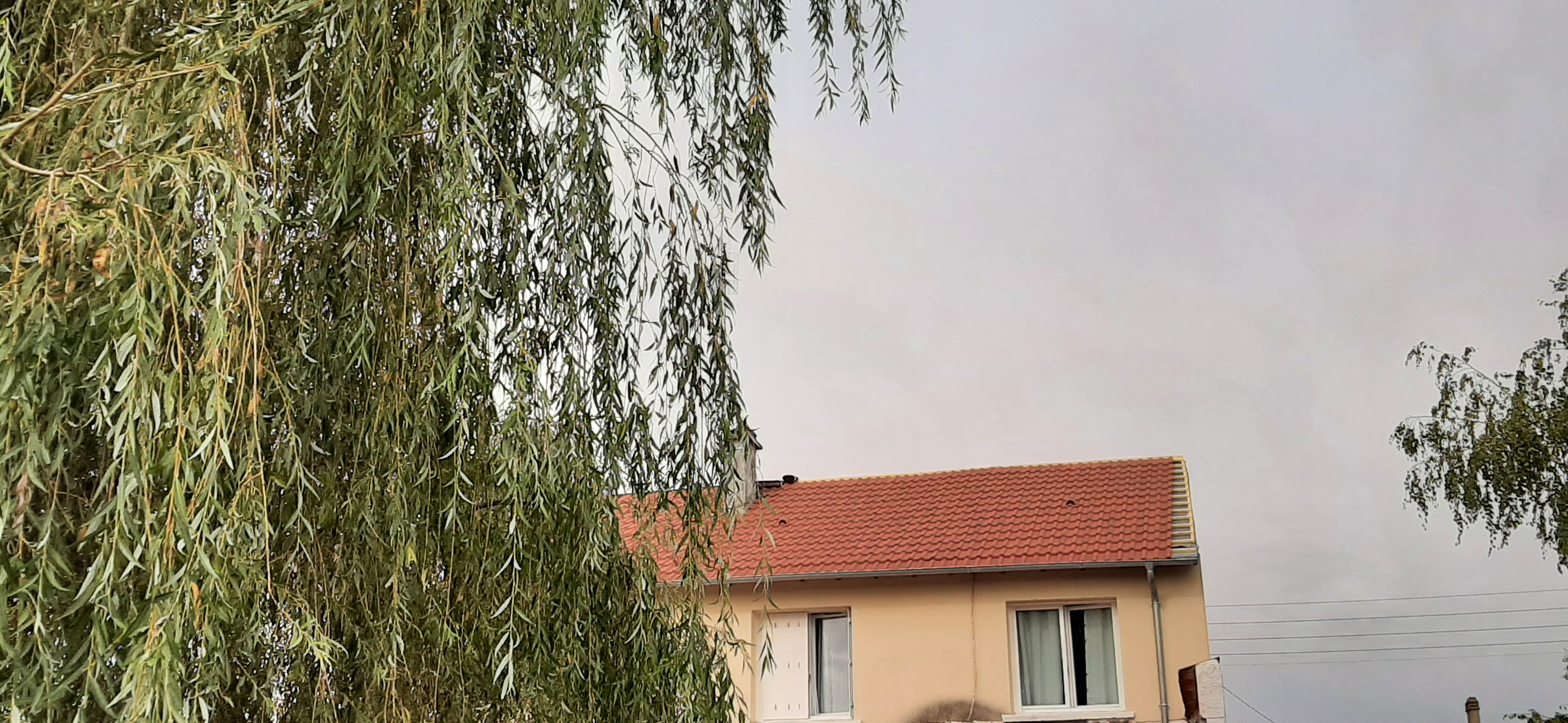 Photo n° 2 de l'avis de Fanfan.i fait le 16/11/2023 à 14:37