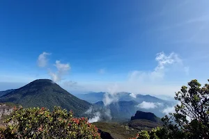 Puncak Gunung Gede image