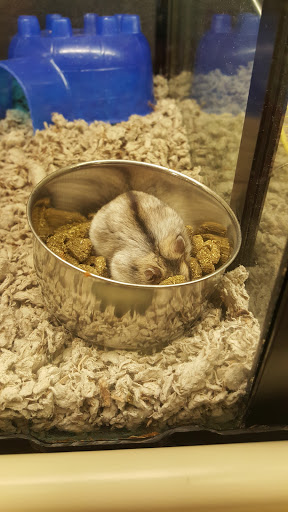 Pet Supply Store «PetSmart», reviews and photos, 1145 W Riverdale Rd, Riverdale, UT 84405, USA