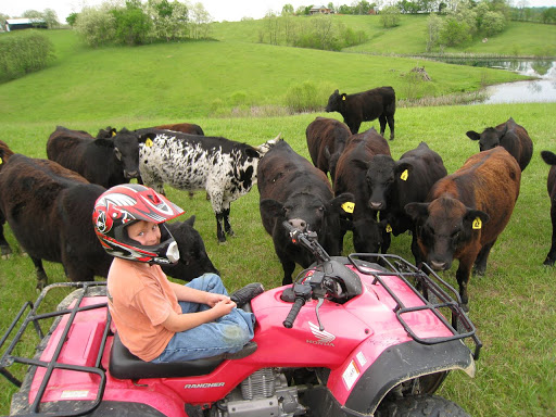 Real Estate Agency «Bluegrass Team - Real Estate Professionals», reviews and photos, 460 S 4th St #3, Danville, KY 40422, USA