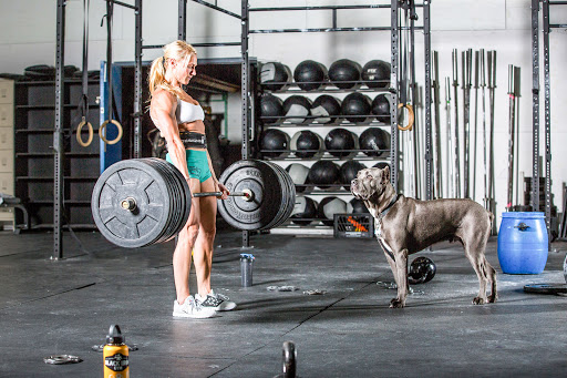 Exercise Equipment Store «First Coast Fitness Equipment», reviews and photos, 71 S Dixie Hwy, St Augustine, FL 32084, USA