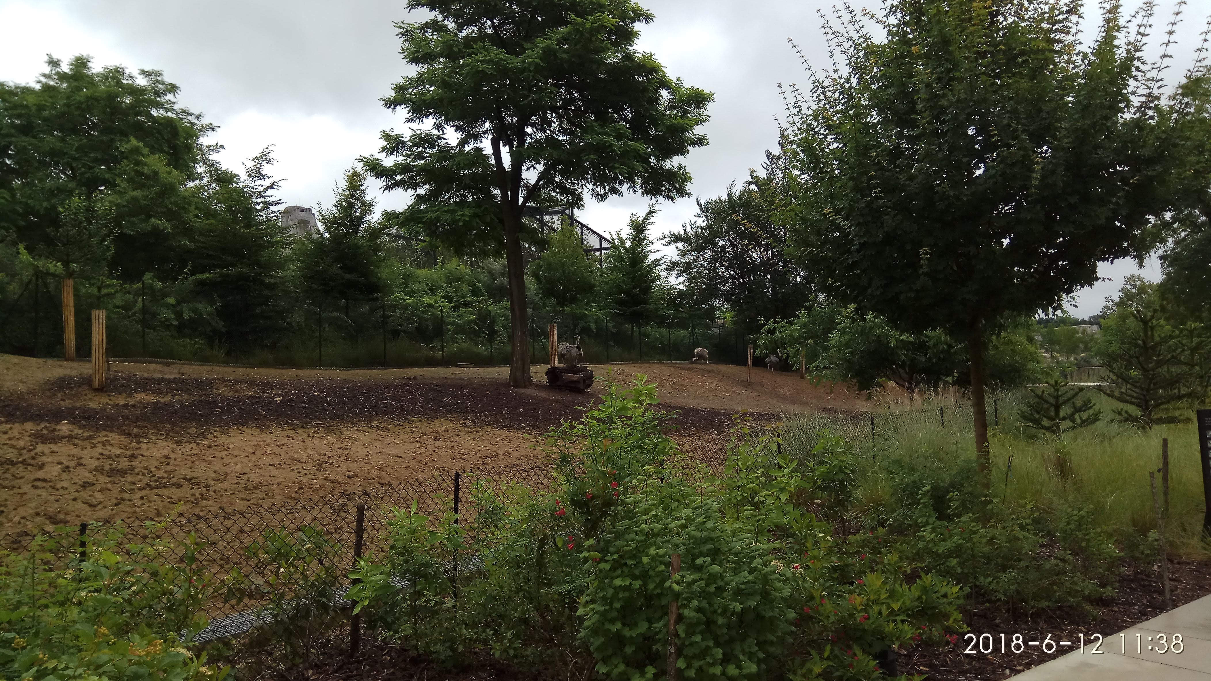 Photo n° 49 de l'avis de Swiss.e fait le 15/06/2018 à 19:24