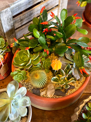 Florist «Blossoms Flower Shop», reviews and photos, 147 E Sailer Dr, San Mateo, CA 94403, USA