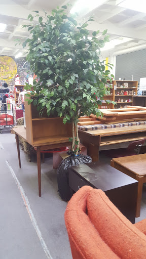 Thrift Store «Angels of Hope Thrift Store», reviews and photos