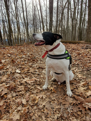 Water Park «Wetlands Water Park», reviews and photos, 1523 TN-81 Truck, Jonesborough, TN 37659, USA