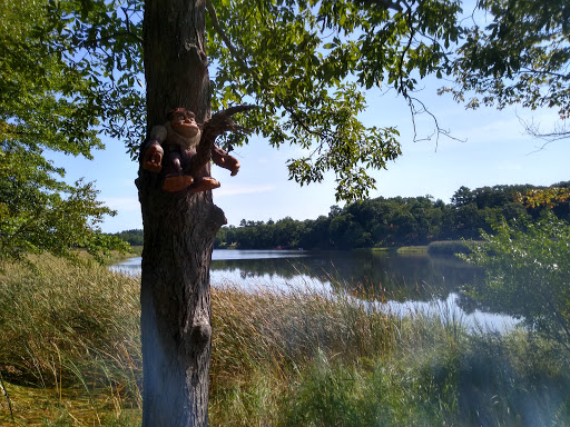 Park «Sweets Knoll State Park», reviews and photos, 1387 Somerset Ave, Dighton, MA 02715, USA