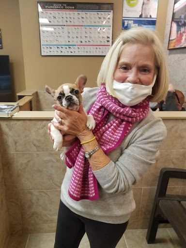 Pet Store «Perfect Pets», reviews and photos, 6840 S University Blvd #410, Centennial, CO 80122, USA