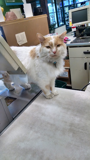 Pet Supply Store «Pet Supplies Plus», reviews and photos, 2057 S Telegraph Rd, Bloomfield Hills, MI 48302, USA