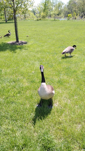 Park «Union Park», reviews and photos, 725 Thompson Ave, Des Moines, IA 50316, USA