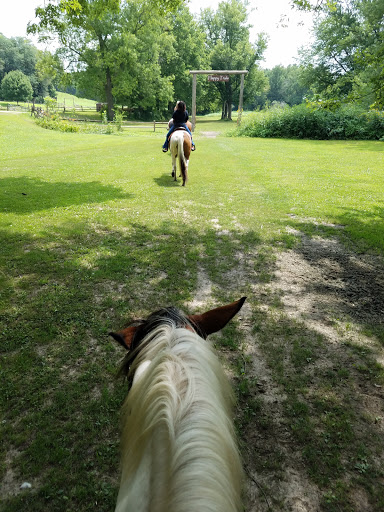 Stable «Cedar Valley Stables Inc», reviews and photos, 1492 Harding Ave, Tipton, IA 52772, USA