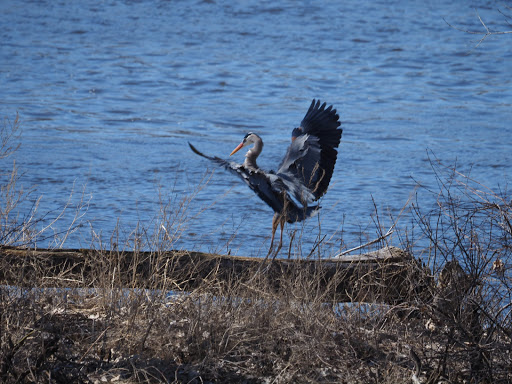 Park «Marshall Terrace Park», reviews and photos, 2740 Marshall St NE, Minneapolis, MN 55418, USA