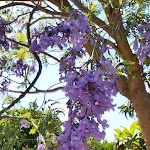 Photo n°6 de l'avis de Gilles.u fait le 01/06/2021 à 17:43 sur le  Pousada Palácio de Estoi, Small Luxury Hotels à Faro