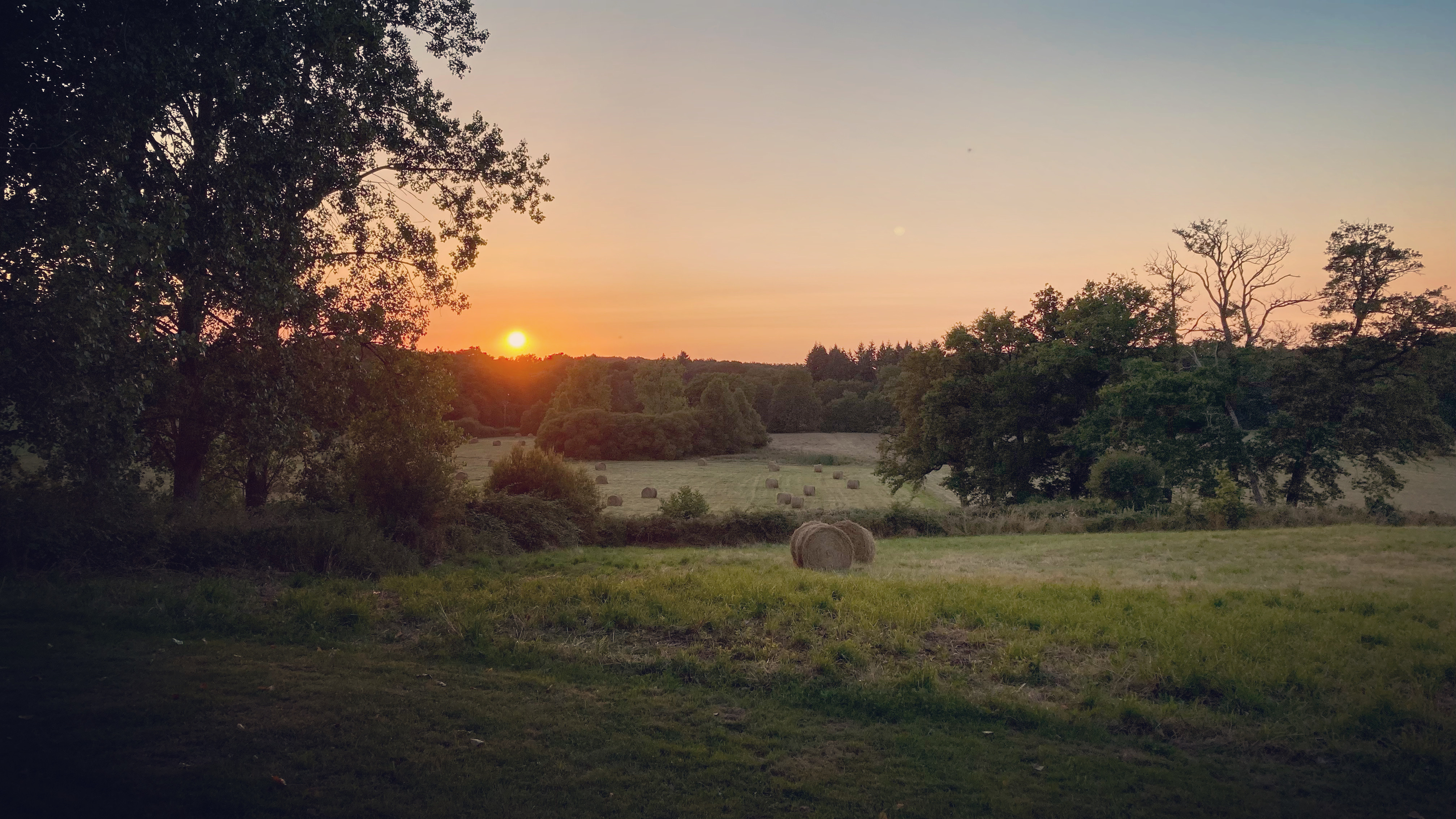 Photo n° 1 de l'avis de Joldert.a fait le 31/07/2023 à 13:51