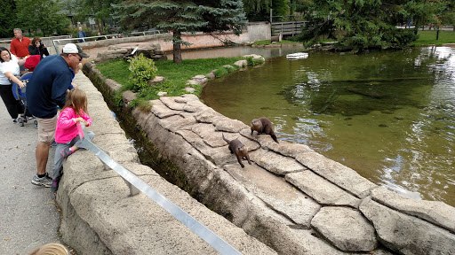 Zoo «NEW Zoo & Adventure Park», reviews and photos, 4378 Reforestation Rd, Green Bay, WI 54313, USA