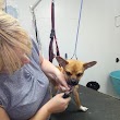 Dogs Barnet (professional dog grooming)