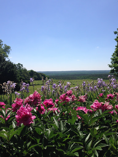 Winery «Blenheim Vineyards», reviews and photos, 31 Blenheim Farm, Charlottesville, VA 22902, USA