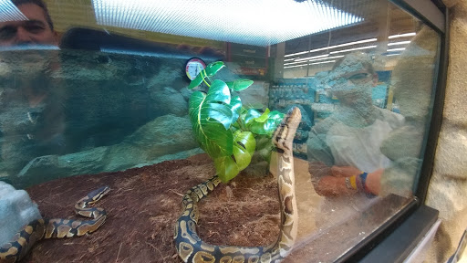 Pet Supply Store «Petco Animal Supplies», reviews and photos, 1985 N Pebble Creek Pkwy, Goodyear, AZ 85395, USA