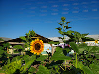 Mariposa Family Learning Center - Photo 4 - Car repair in Austin, TX, Austin