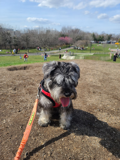 Park «Elmhurst Park», reviews and photos, 57th Ave & Grand avenue, Queens, NY 11373, USA