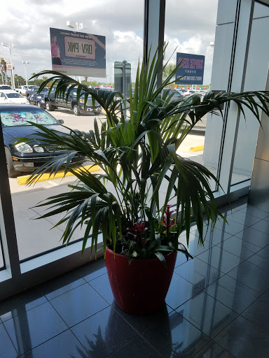 Toyota Dealer «AutoNation Toyota Corpus Christi», reviews and photos, 6672 S Padre Island Dr, Corpus Christi, TX 78412, USA