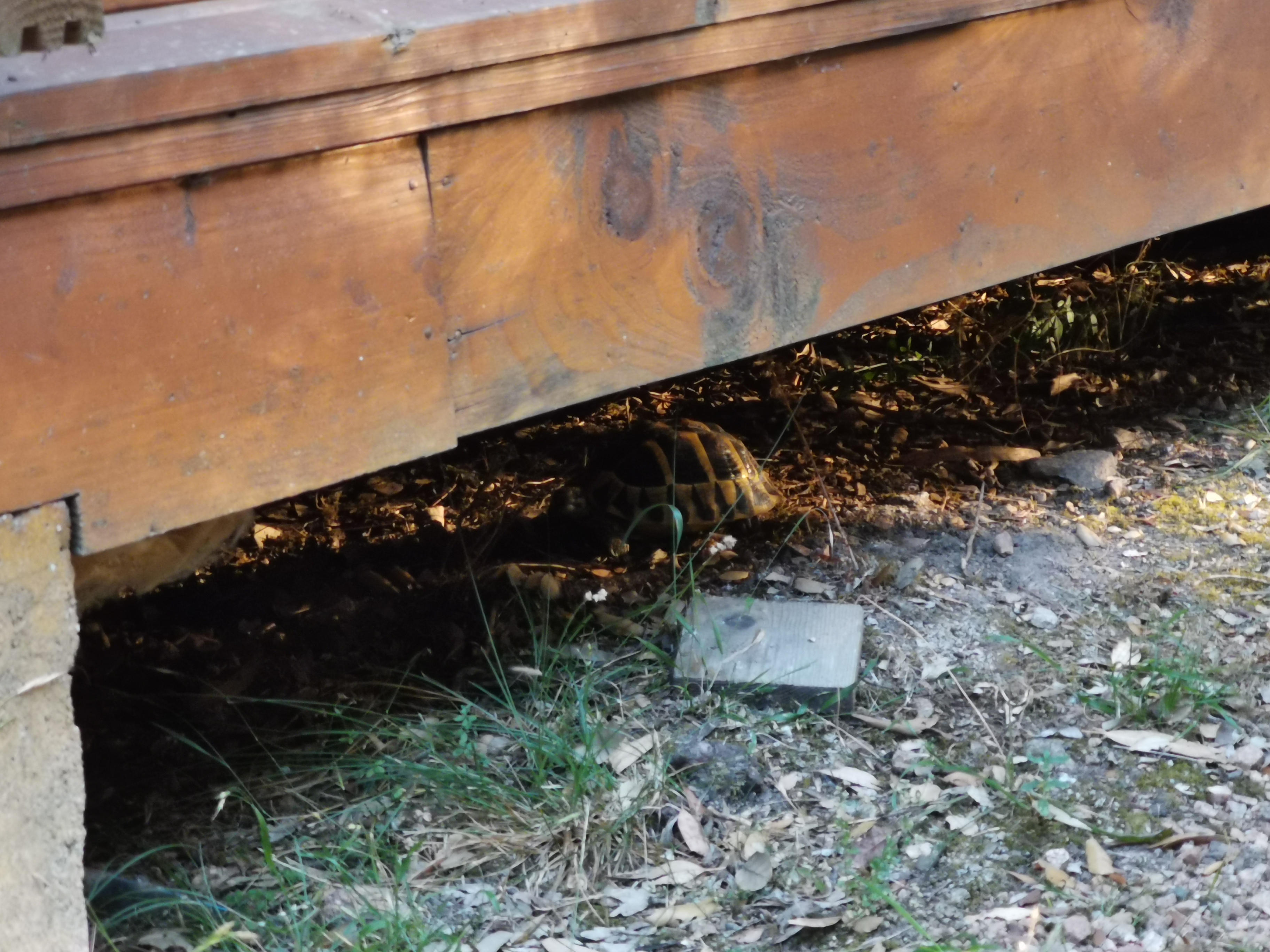Photo n° 6 de l'avis de E. fait le 26/07/2019 à 20:23