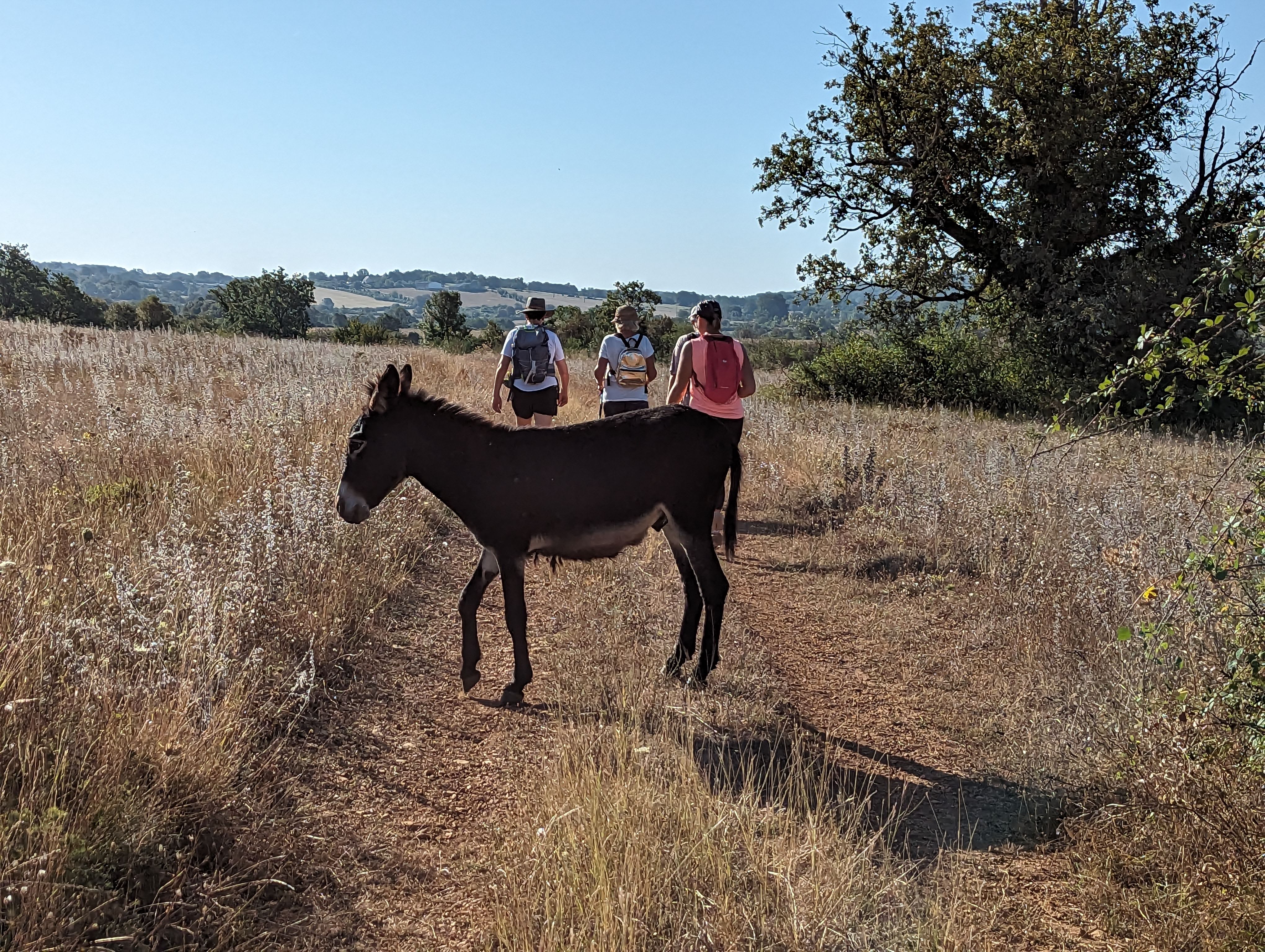 Photo n° 21 de l'avis de DELAFONTAINE.T fait le 25/08/2023 à 15:31