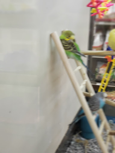 Pet Supply Store «Petco Animal Supplies», reviews and photos, 190 Quality Dr, Hooksett, NH 03106, USA