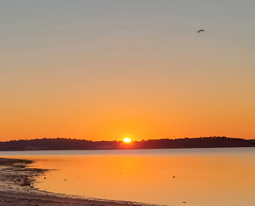 Park «Morse Park», reviews and photos, Morse Ave, West Haven, CT 06516, USA