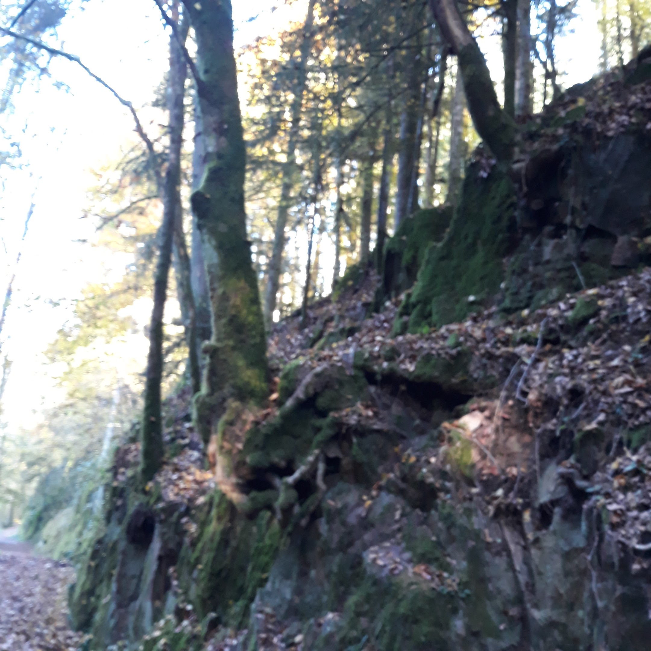 Photo n° 3 de l'avis de Ben. fait le 28/10/2021 à 14:22