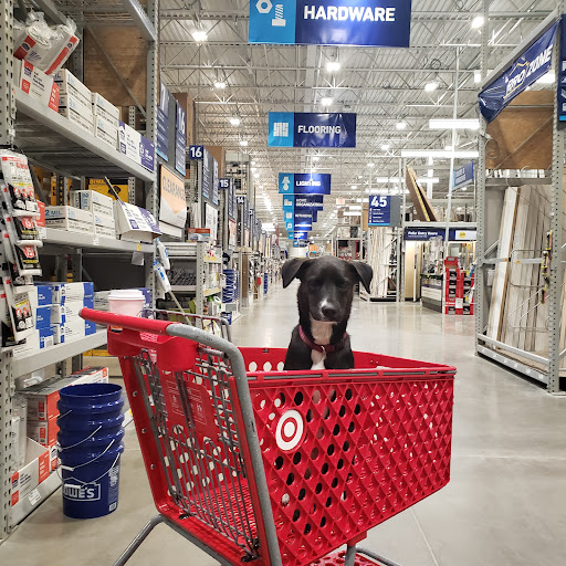 Ankeny Hill Resort & Boarding