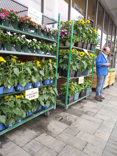 Grocery Store «Foodtown of Hewlett», reviews and photos, 1368 Peninsula Blvd, Hewlett, NY 11557, USA