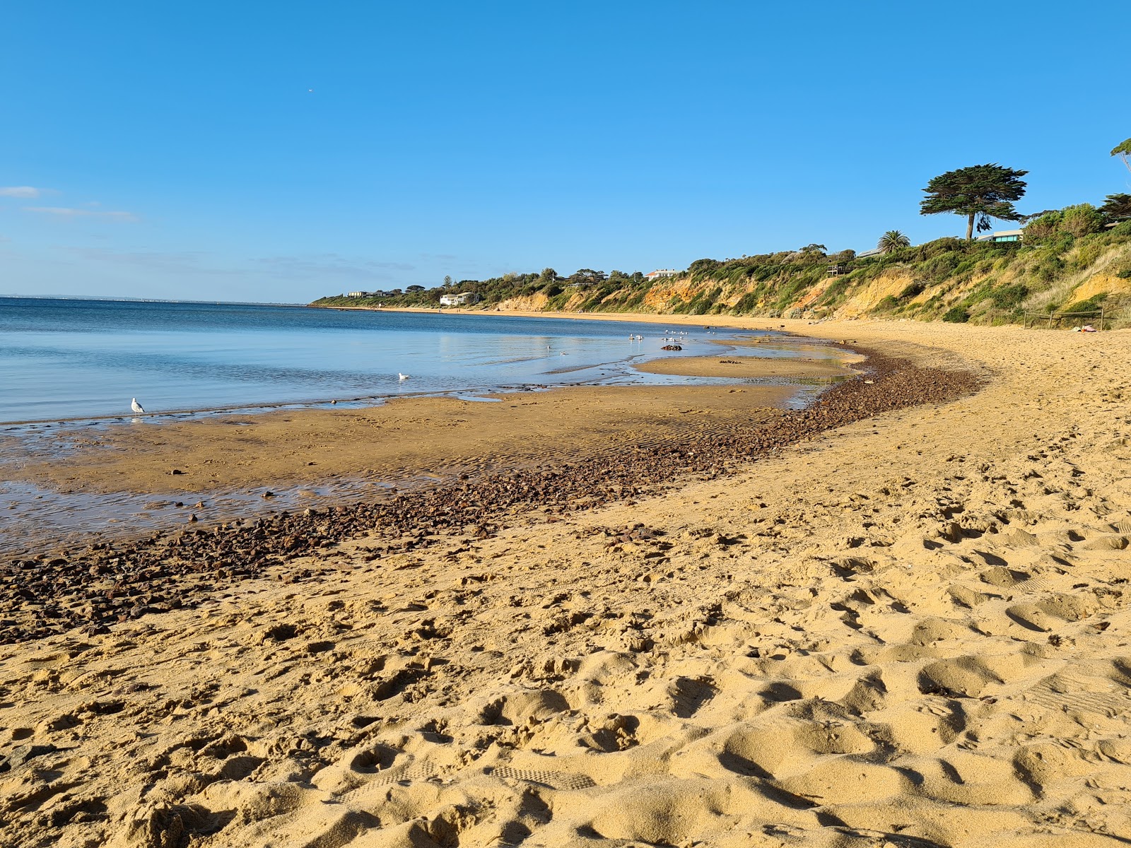 Canadian Bay Beach'in fotoğrafı - rahatlamayı sevenler arasında popüler bir yer